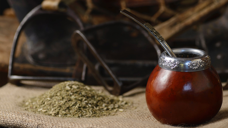 Von Tradition bis Trend: Mate-Getränke im Fokus | hep Verlag